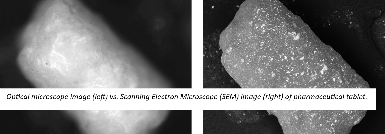Advantages of Benchtop Scanning Electron Microscopy